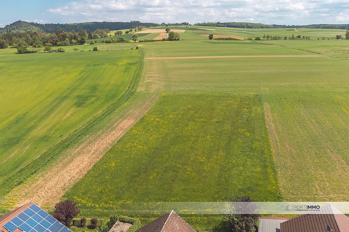 Feld hinter dem Haus